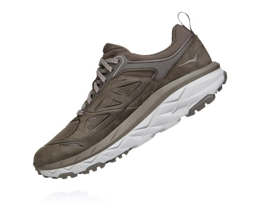 Trail Shoes Womens - Hoka One One Challenger Low GORE-TEX - Brown - YQARJIP-03